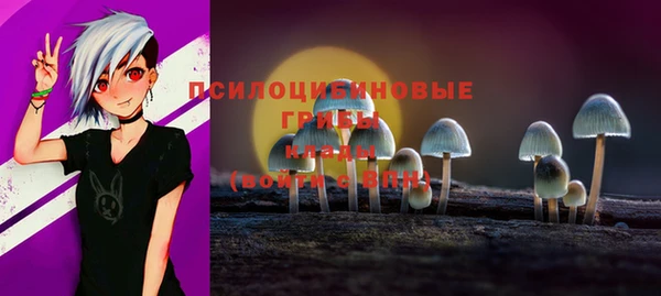 прущие крисы Белоозёрский