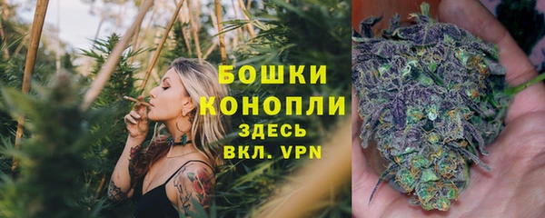 каннабис Белокуриха