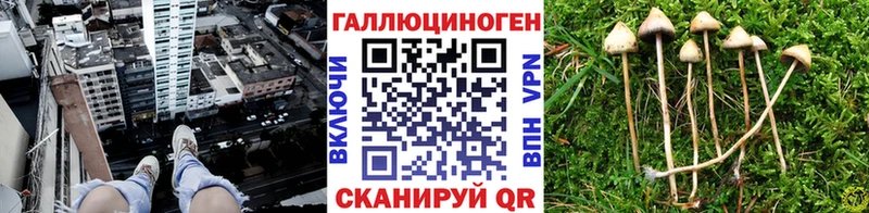 Галлюциногенные грибы ЛСД hydra маркетплейс Томилино